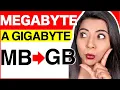 Convert from megabytes to gigabytes examples and full explanation