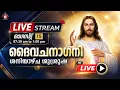 LIVE 15 2026