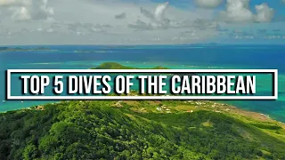 Top 5 Dives of the Caribbean – Sailing One Life