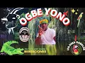 Interpretacion en ifa del signo 8-3 OGBE YONO OGBE SURU