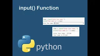 Python input Function Explained with Examples Taking User Input in Python for Beginners