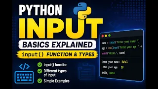 Python User Input Tutorial input Function Explained