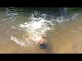 Download Lagu Berenang cuma pakai celana dalam di sungai jernih