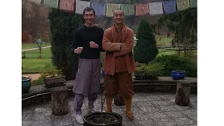 amazing days live and train at shaolin temple europe amitofo 