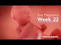 22 Weeks Pregnant - What to Expect