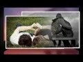 Download Lagu Pinkan Mambo   Tentang Cinta