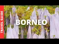 Download Lagu Borneo Malaysia Travel Guide: 17 BEST Things To Do In Borneo