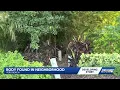 Decomposed body found in Vero Beach neighborhood raises questions