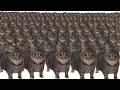 Download Lagu oiiaoiia cat x10000000