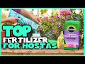 Top 5 Best Fertilizer for Hostas Review - Dr Earth Total Fertilizer for Hostas 2023