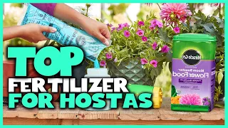 Top 5 Best Fertilizer for Hostas Review - Dr Earth Total Fertilizer for Hostas 2023