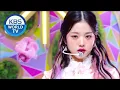 Download Lagu IZ*ONE (아이즈원) - Secret Story of the Swan (환상동화) [Music Bank / 2020.06.19]