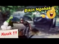 Download Lagu Video Lucu Prank Pocong Paling BIkin ngakak #funny #lucu #exposecisoka
