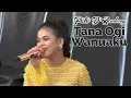 Download Lagu Lagu Bugis Tana Ogi Wanuaku di Cover Putri DA