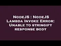 NodeJS NodeJS Lambda Invoke Error Unable to stringify response body