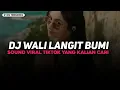 Download Lagu DJ WALI LANGIT BUMI | DJ LANGIT BUMI VIRAL TIKTOK TERBARU 2025 YANG KALIAN CARI!!!