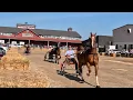 St Jacobs Farmer s Market - 2026