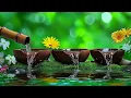 Download Lagu Kalmerende slaapmuziek 🌙 Stressverlichtende muziek, genezing van slapeloosheid