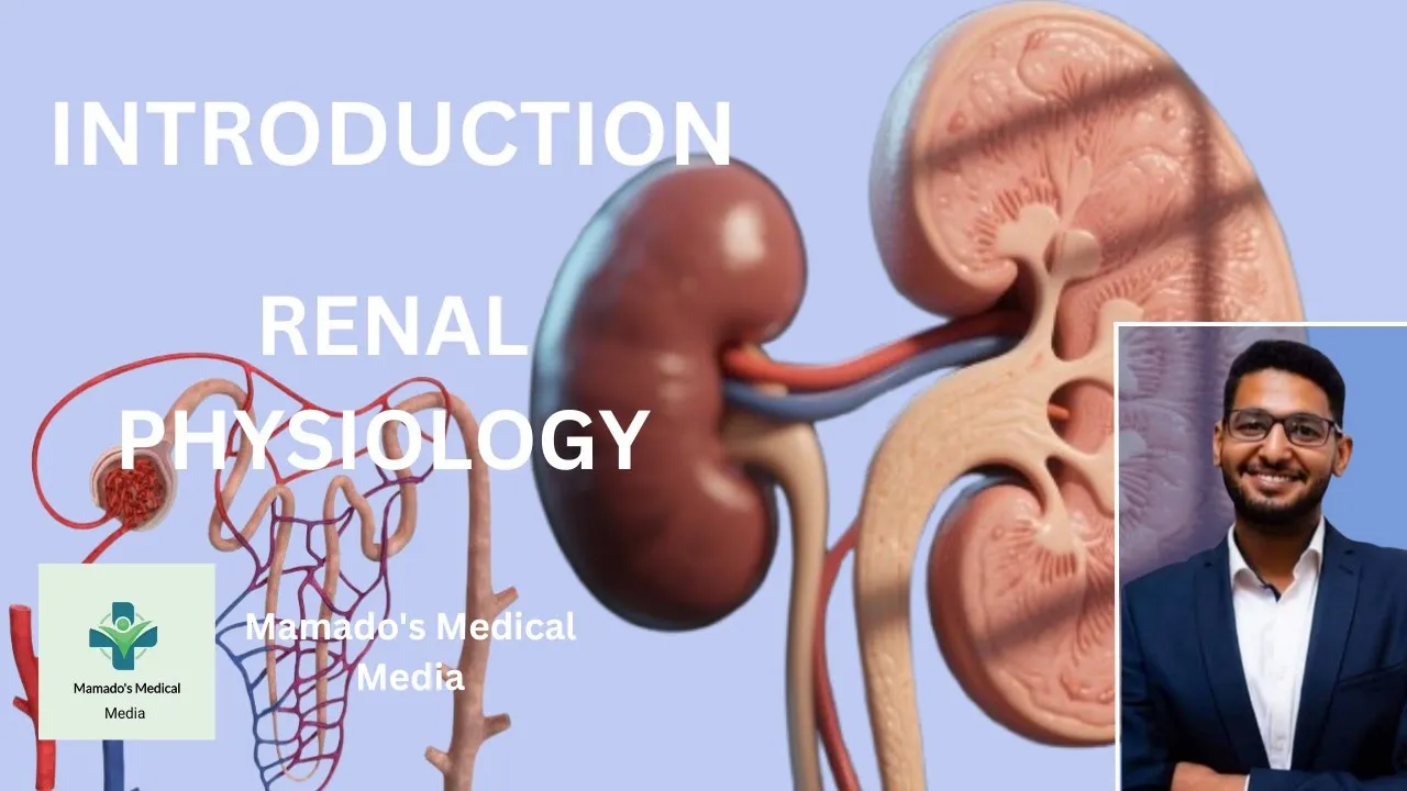 Renal System Physiology EXPLAINED | Kidney Function, Autoregulation & Urine Formation