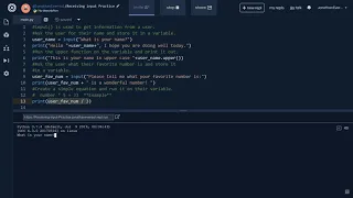 Python Repl it Receiving input