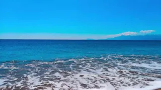 سورة الذاريات القارئ حسام الدين العبادي صوت مريح جدا 