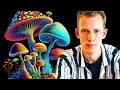 The Ultimate Mushroom Trip Guide Before During After