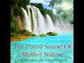 Awesome Bird Ambience In The Morning - Great For Relaxation, Meditation, Massage, Wake Up