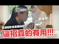 Download Lagu 【好味小姐】這招真的有用！！！實測短影音養貓神技｜好味貓日常256