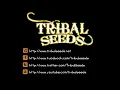 Tribal Seeds - In Your Eyes