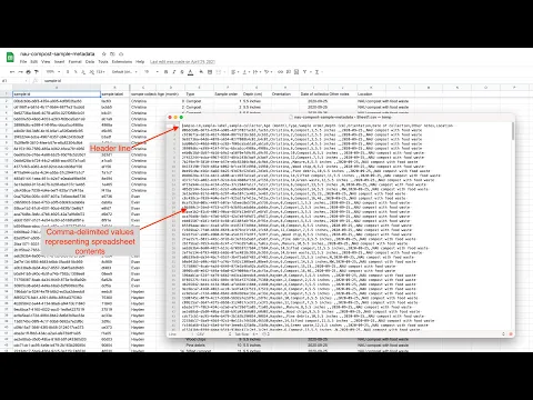 Text manipulation with regular expressions (part 2)