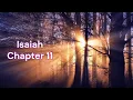 The Book of Isaiah Chapter 11 - New King James Version NKJV