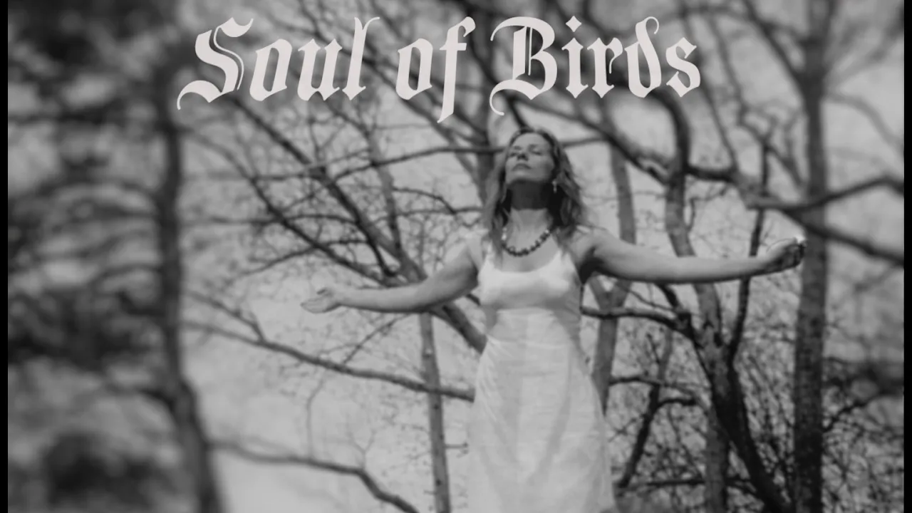 Colosalist - Soul Of Birds