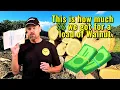 Download Lagu How much $$ WE GOT for our FIRST LOAD OF BLACK WALNUT from logging!