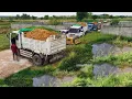 Lagu Nicely Job Starting A New Project!Team Work Truck Pouring Soil floodArea,Bulldozer D21P Pushing Soil