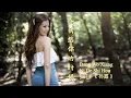 Download Lagu Dang Wo Xiang Ni De Shi Hou《 当我想你的时候 》When I Miss You  ---  Sun Lu 《 孙露 》