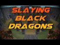 Slaying Black Dragons Testing OSRS Wiki Money Making Methods