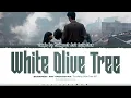 Lagu Budapest Art Orchestra - 'White Olive Tree' Lyrics [The White Olive Tree OST '白色橄榄树'] (Color Coded)