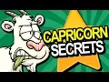 21 Secrets of the CAPRICORN Personality