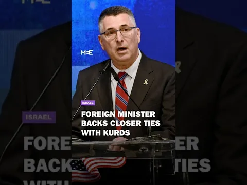 Israel’s foreign minister backs closer Jewish-Kurdish ties at London conference