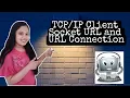 Client Socket URL and URL Connection