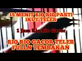 Lagu RIO RIO GACOR ISIAN MEWAH FULL TEMBAKAN