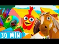 Download Lagu 30 Minutes! Bartolito and his Farm Friends! - Kids Songs \u0026 Nursery Rhymes
