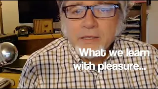 What We Learn With Pleasure We Never Forget 