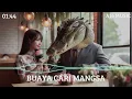 Download Lagu Lagu Buaya Cari Mangsa - A16 Music #buayadarat #buayacarimangsa #aimusic #liriklagu #lagubuaya