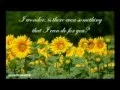 Download Lagu Himawari no Yakusoku (Sunflower Promise) ENGLISH Lyrics Cover