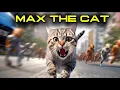 Max the cat s fight compilation Part 2 The viral bully cat on TikTok