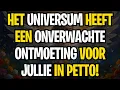 BERICHT VAN DE ENGELEN | Het universum heeft een onverwachte ontmoeting voor jullie in petto!