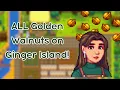 All Golden Walnut Locations - Stardew Valley