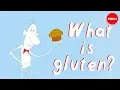 What s the big deal with gluten - William D Chey