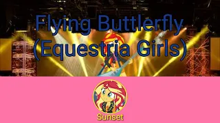 Download Park Minju Flying Butterfly (Version Sunset Shimmer Solista) MP3